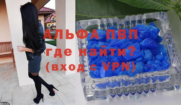 прущие грибы Вязники