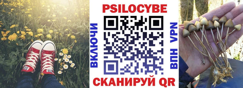 Псилоцибиновые грибы Magic Shrooms  Голицыно 